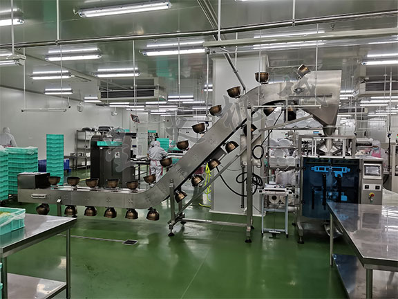 自動化顆粒包裝生產(chǎn)線
 
