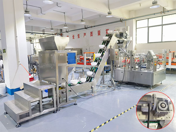 全自動包裝生產(chǎn)線